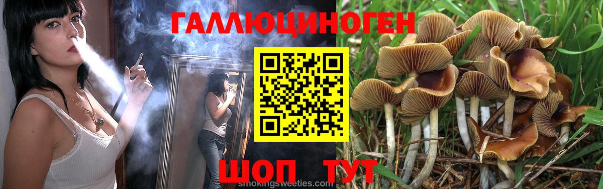 Псилоцибиновые грибы Magic Shrooms  купить  цена  Нефтекумск  Вход с VPN 
