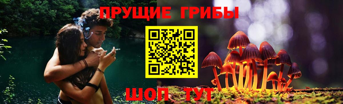 Галлюциногенные грибы Psilocybine cubensis Нефтекумск